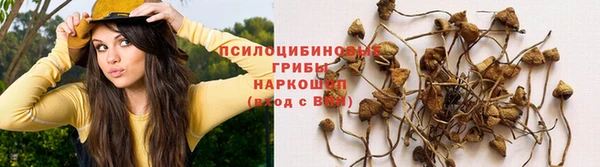 таблы Алзамай