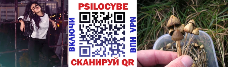 купить наркоту Мантурово Галлюциногенные грибы мухоморы